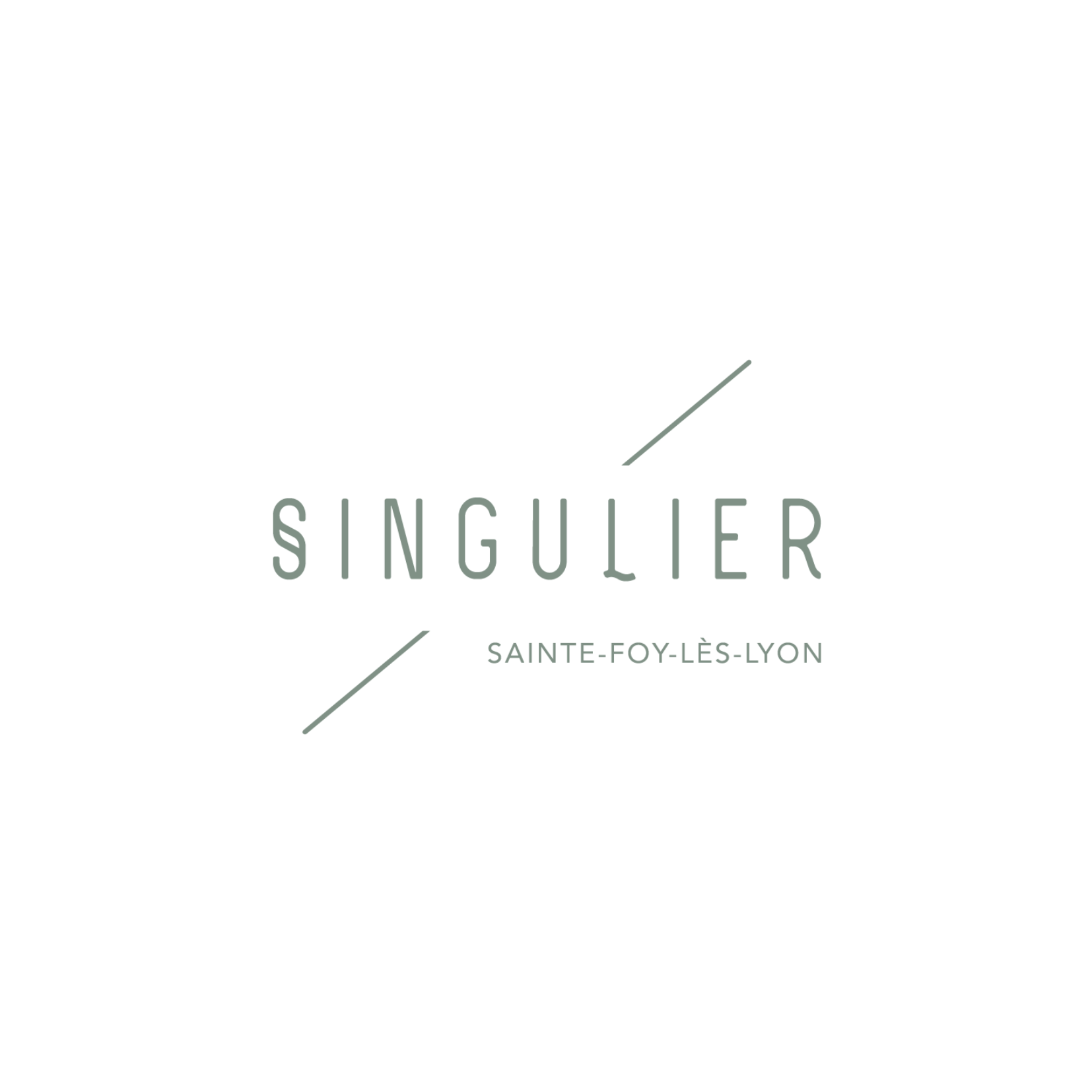 Programme immobilier Sainte-Foy-Lès-Lyon Singulier