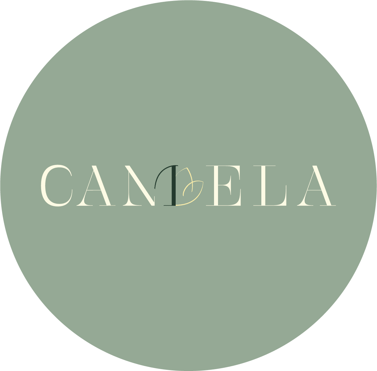 Programme immobilier Neydens Candela